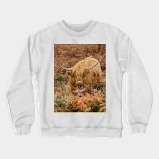 Longhorn on Dartmoor Crewneck Sweatshirt